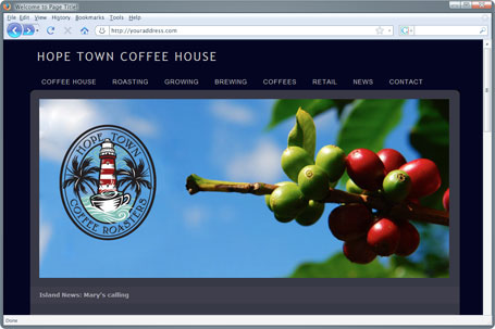 web design project