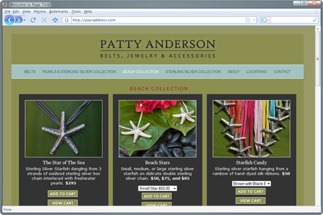 web design project